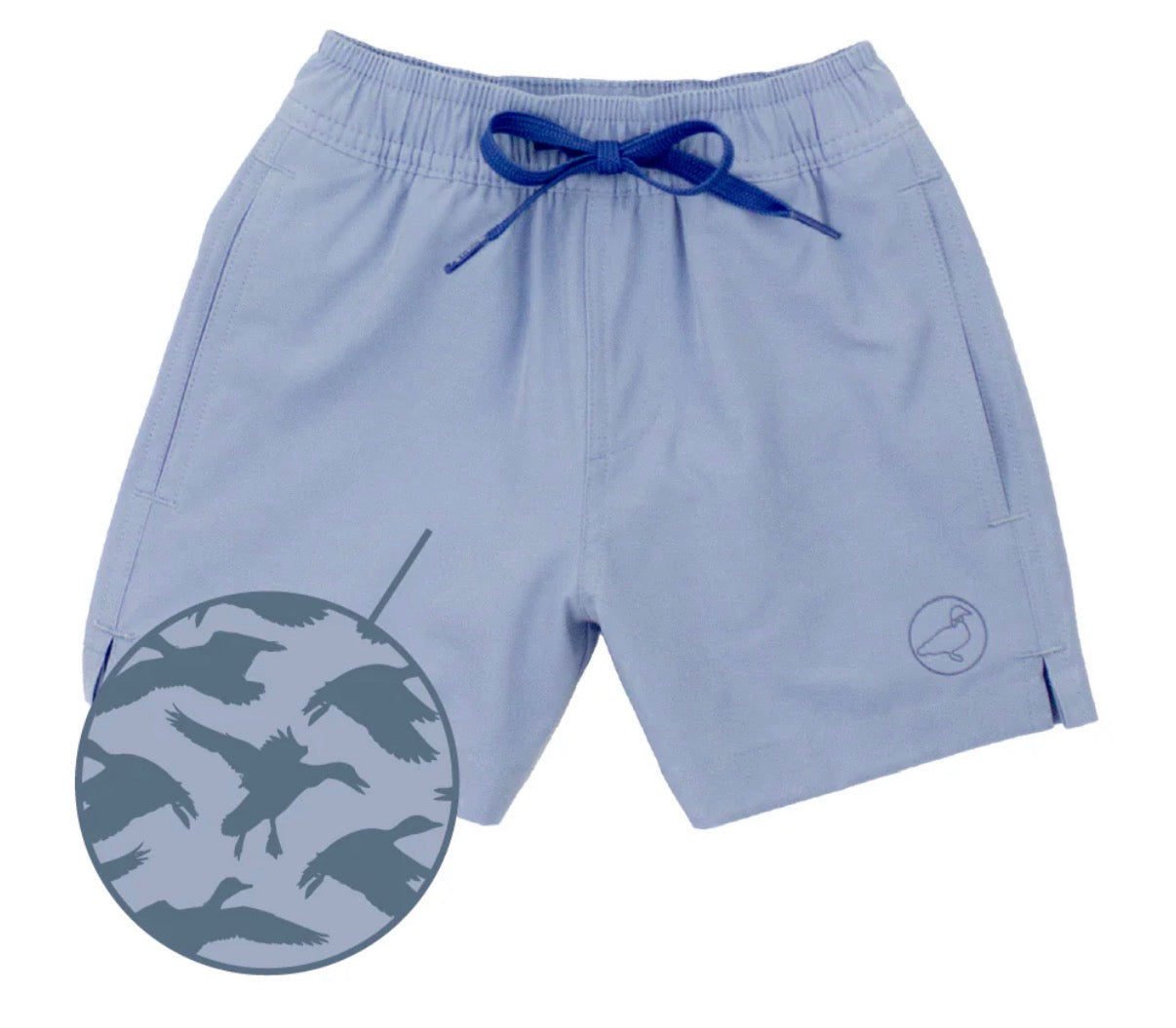 Boys Splash Swim Trunk- Ducks