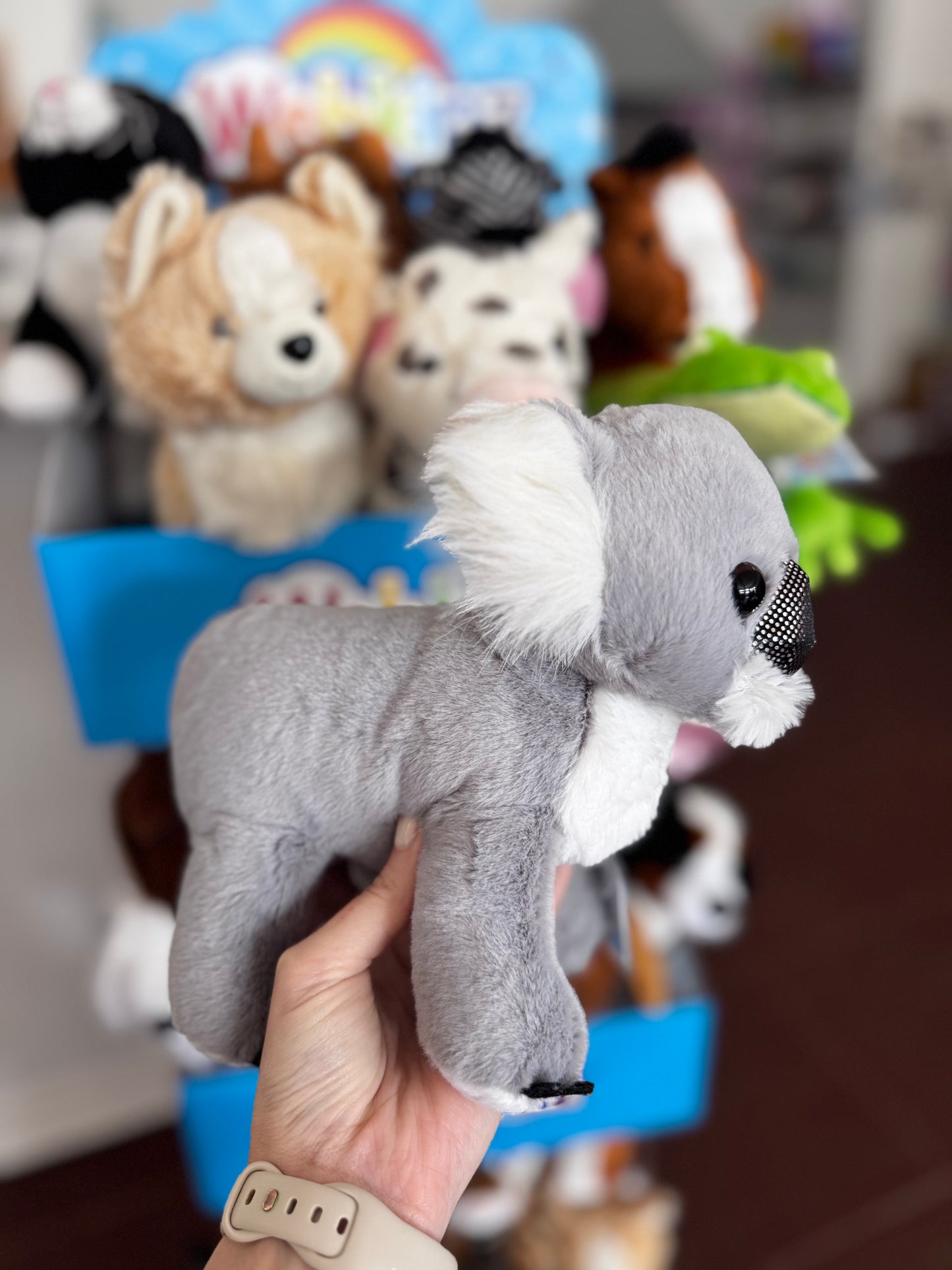 Webkinz Koala