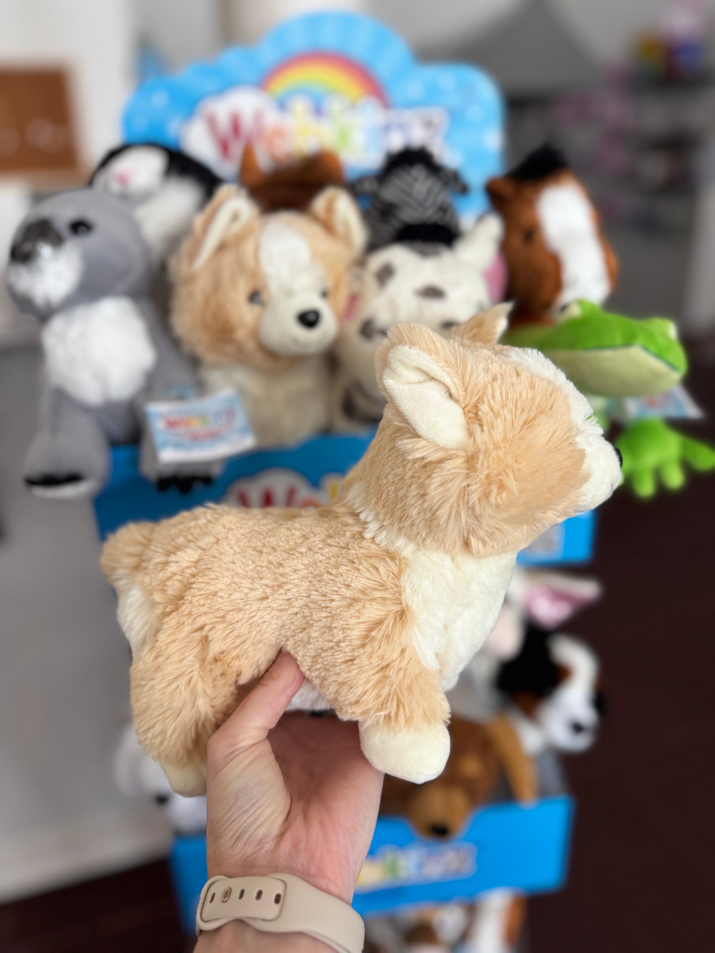 Webkinz Corgi