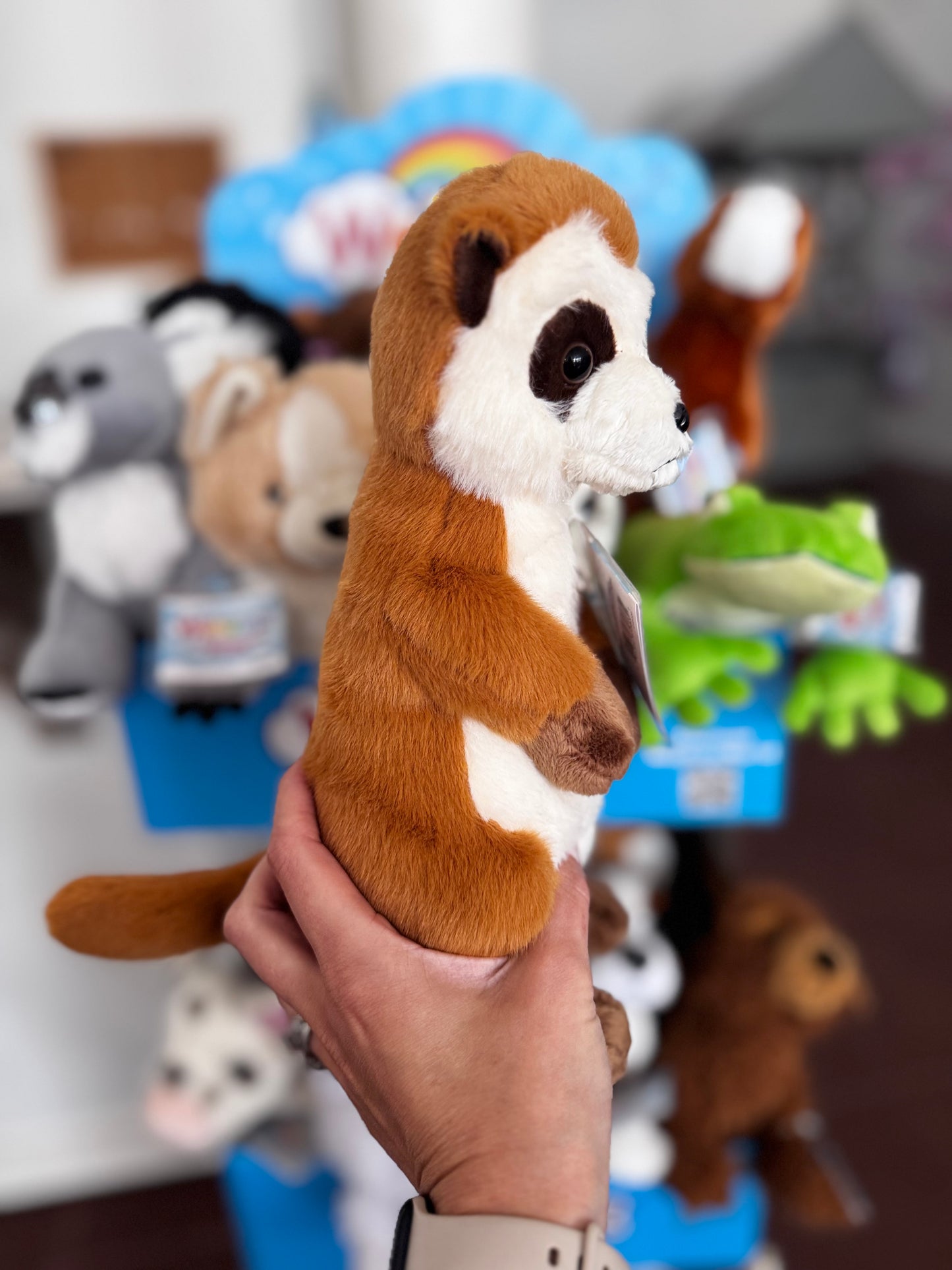 Webkinz Meerkat