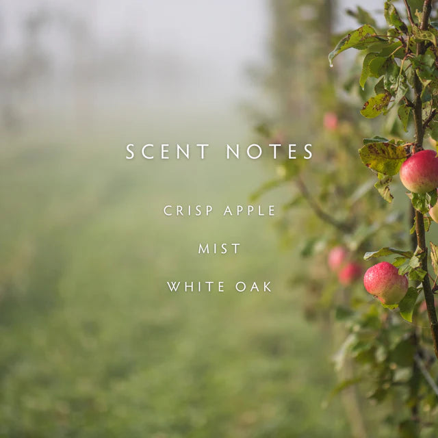 Linnea Large Candle- Fog