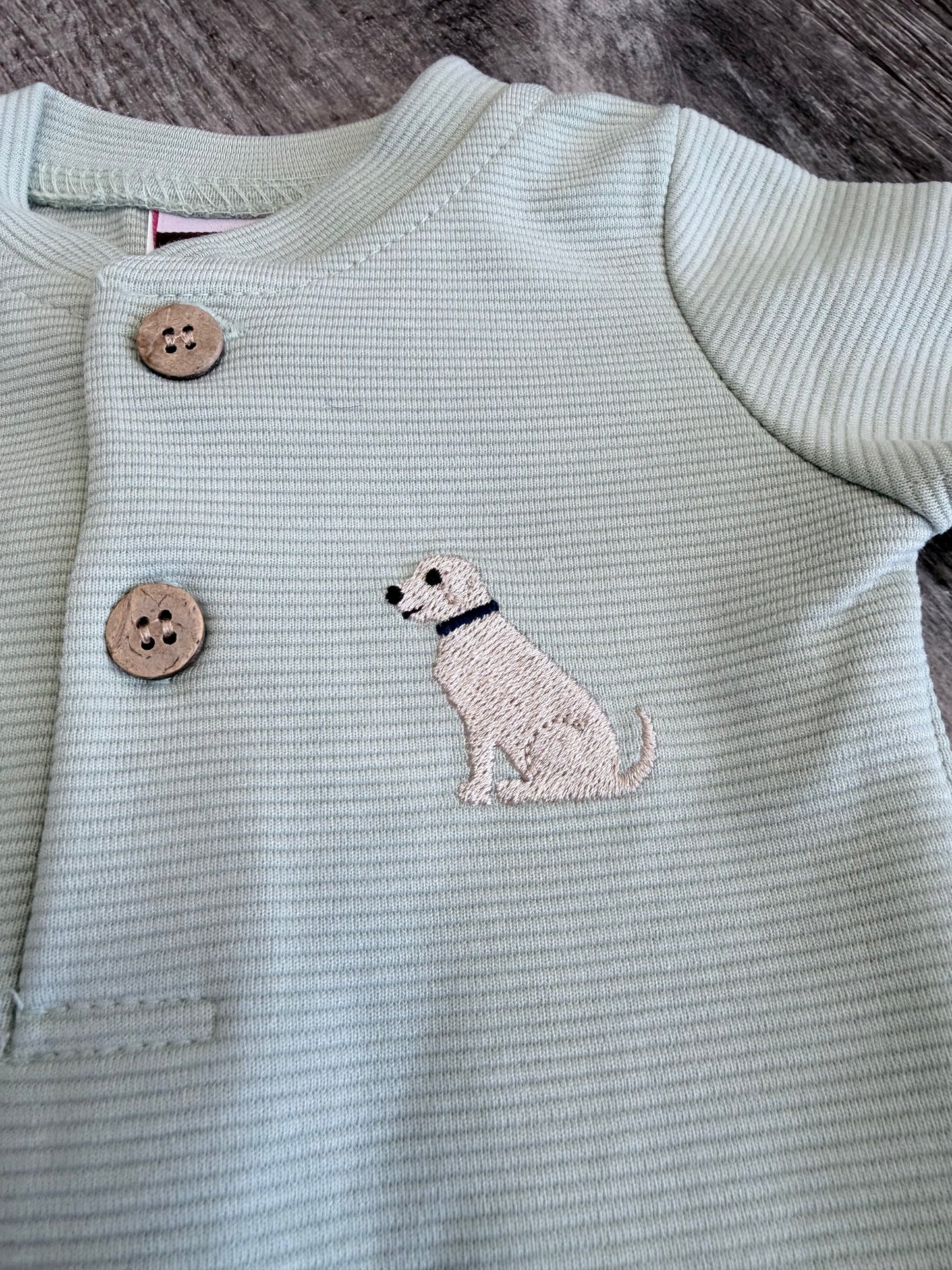 Puppy Boys Romper