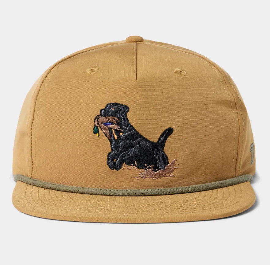 Black Lab Hat
