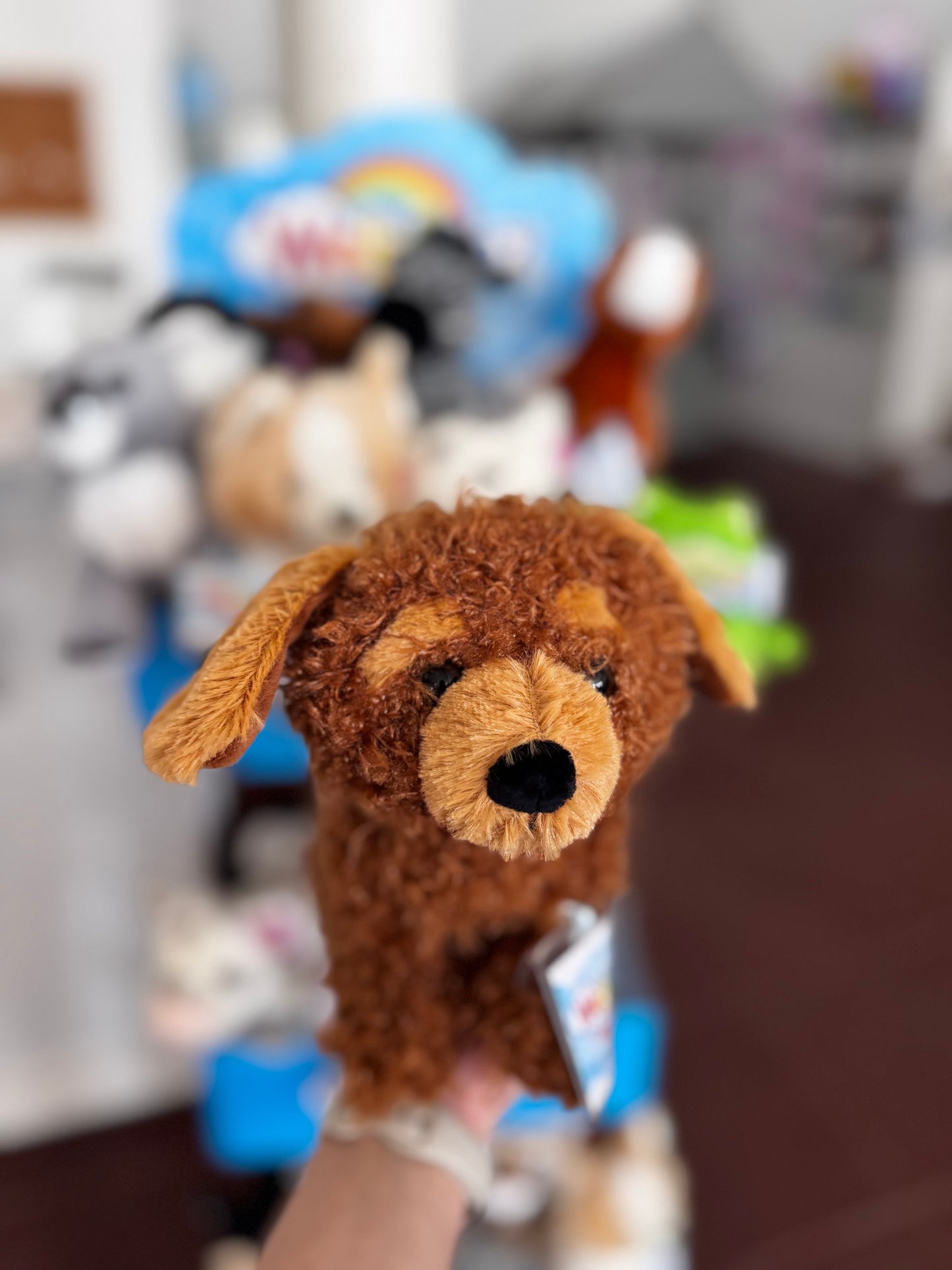 Webkinz Cockapoo