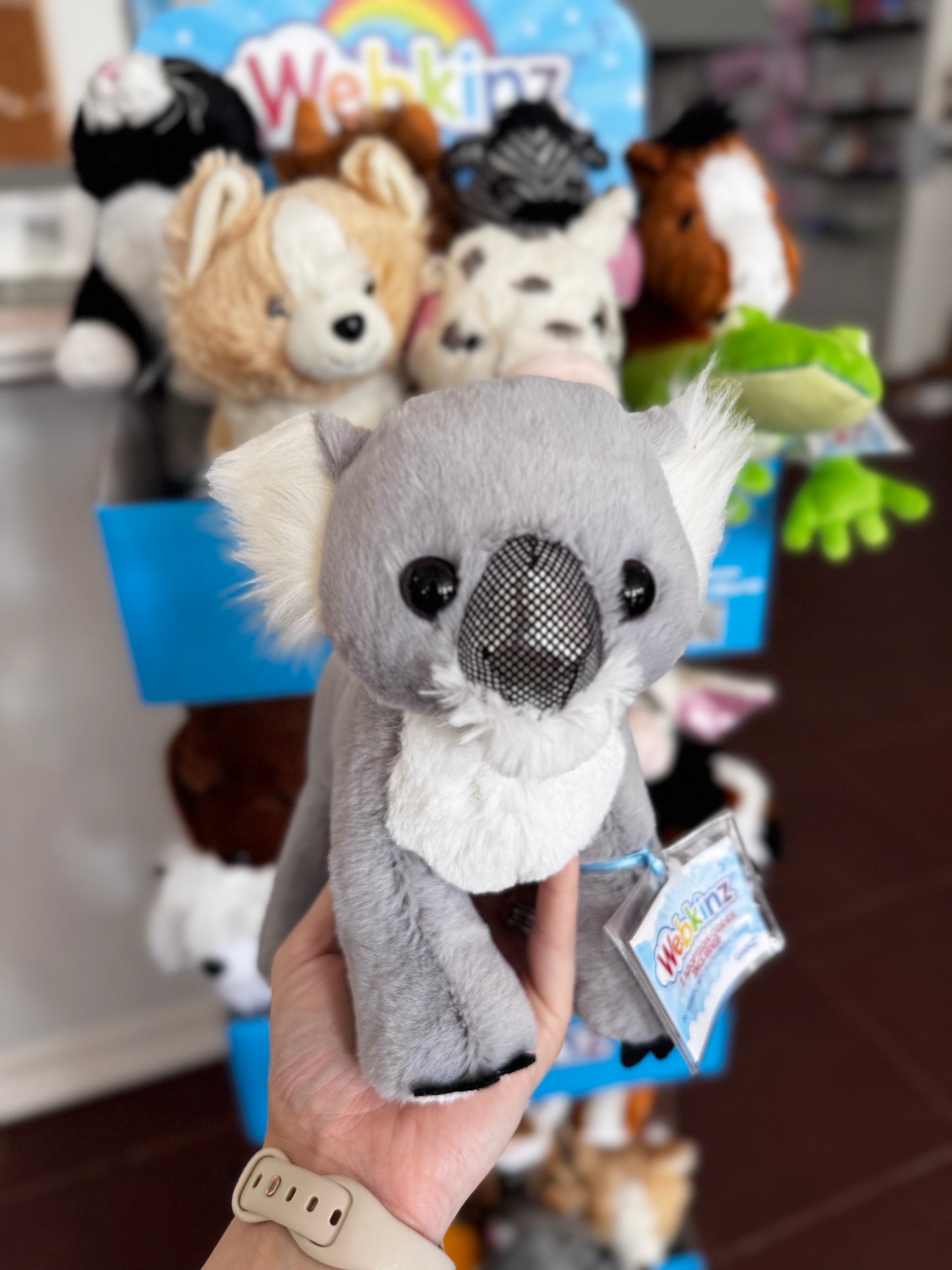 Webkinz Koala