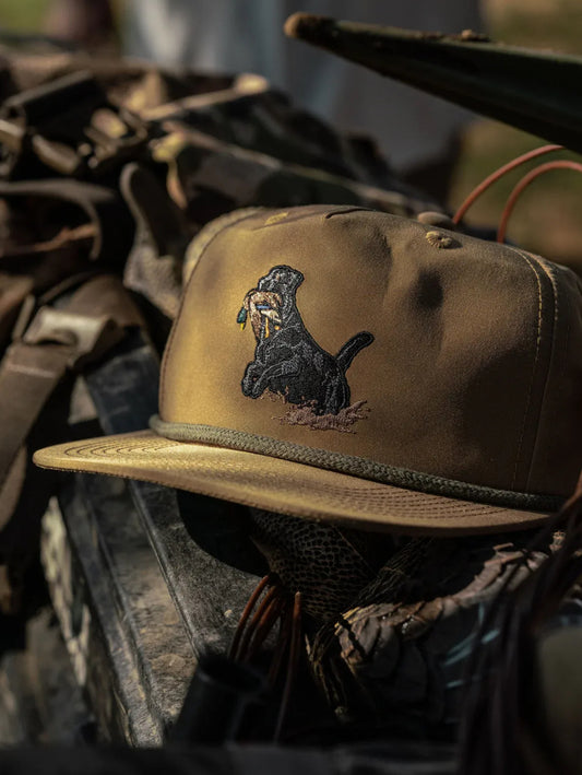 Black Lab Hat