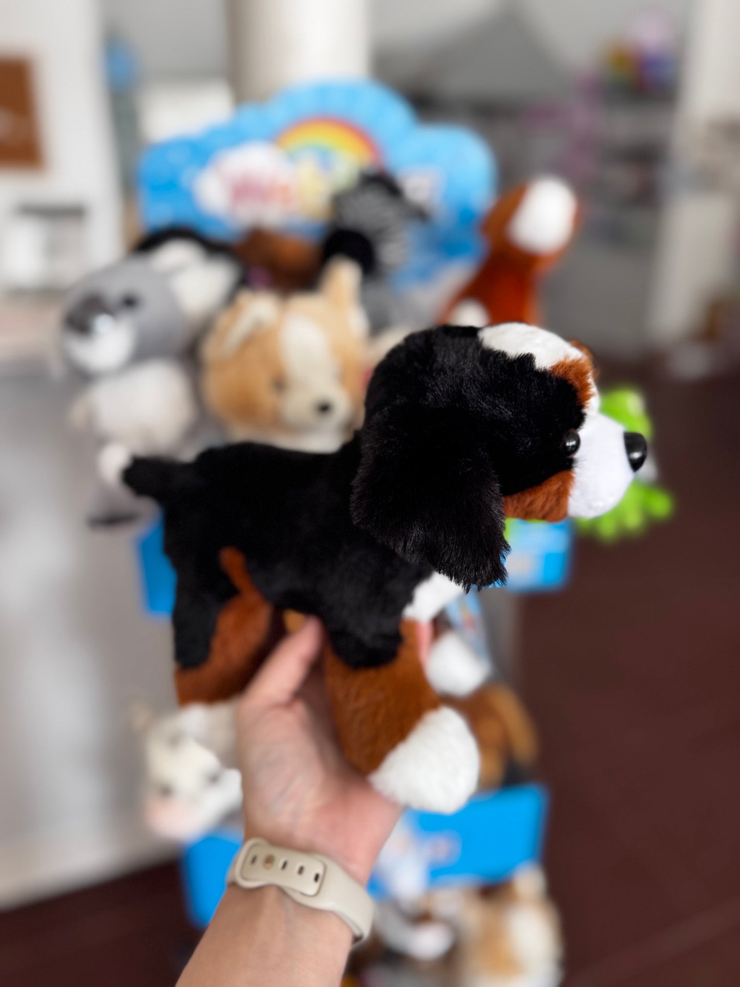 Webkinz Bernese Mountain Dog