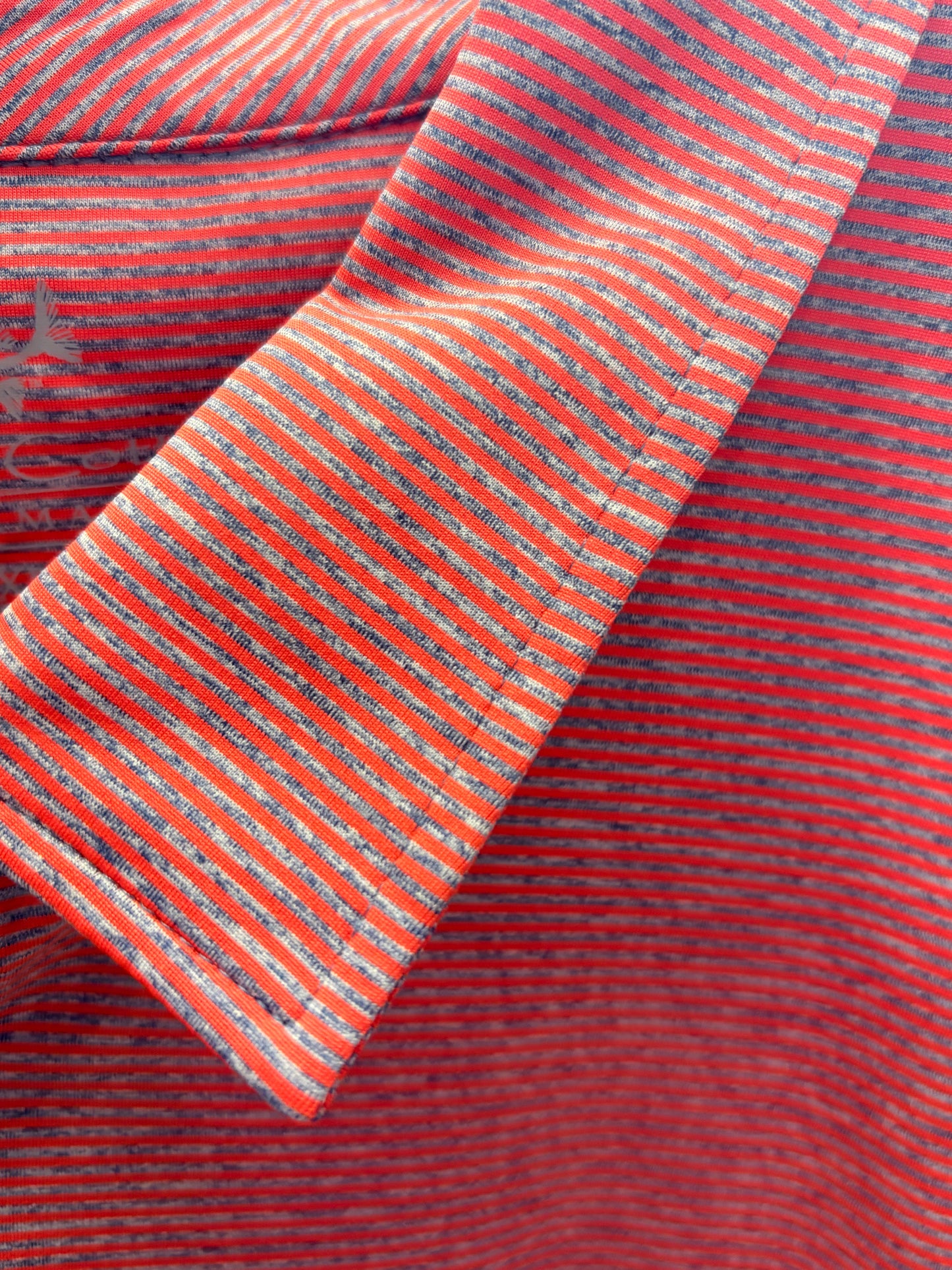 Bluff Polo