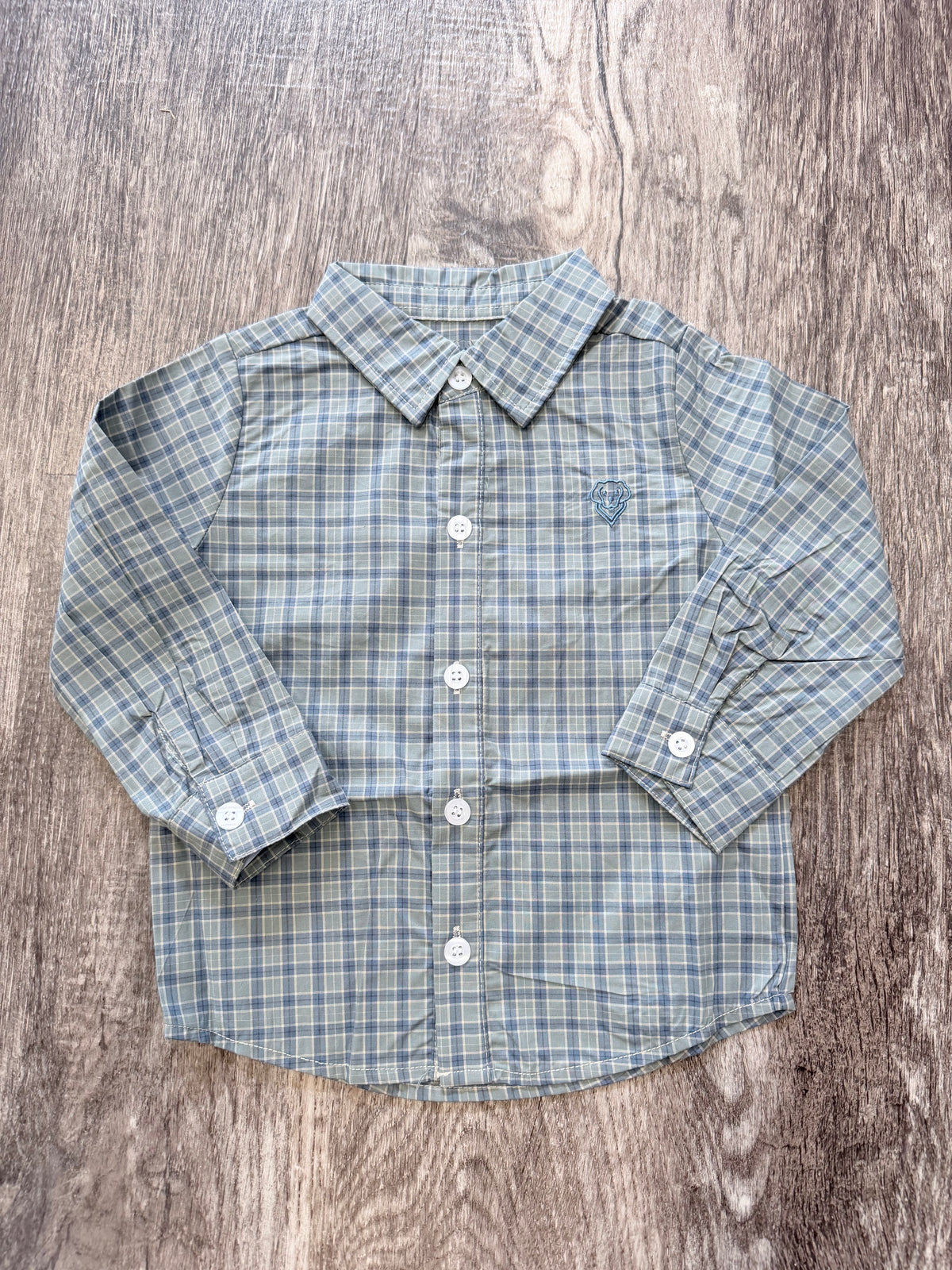 Wes Green Plaid Button Down