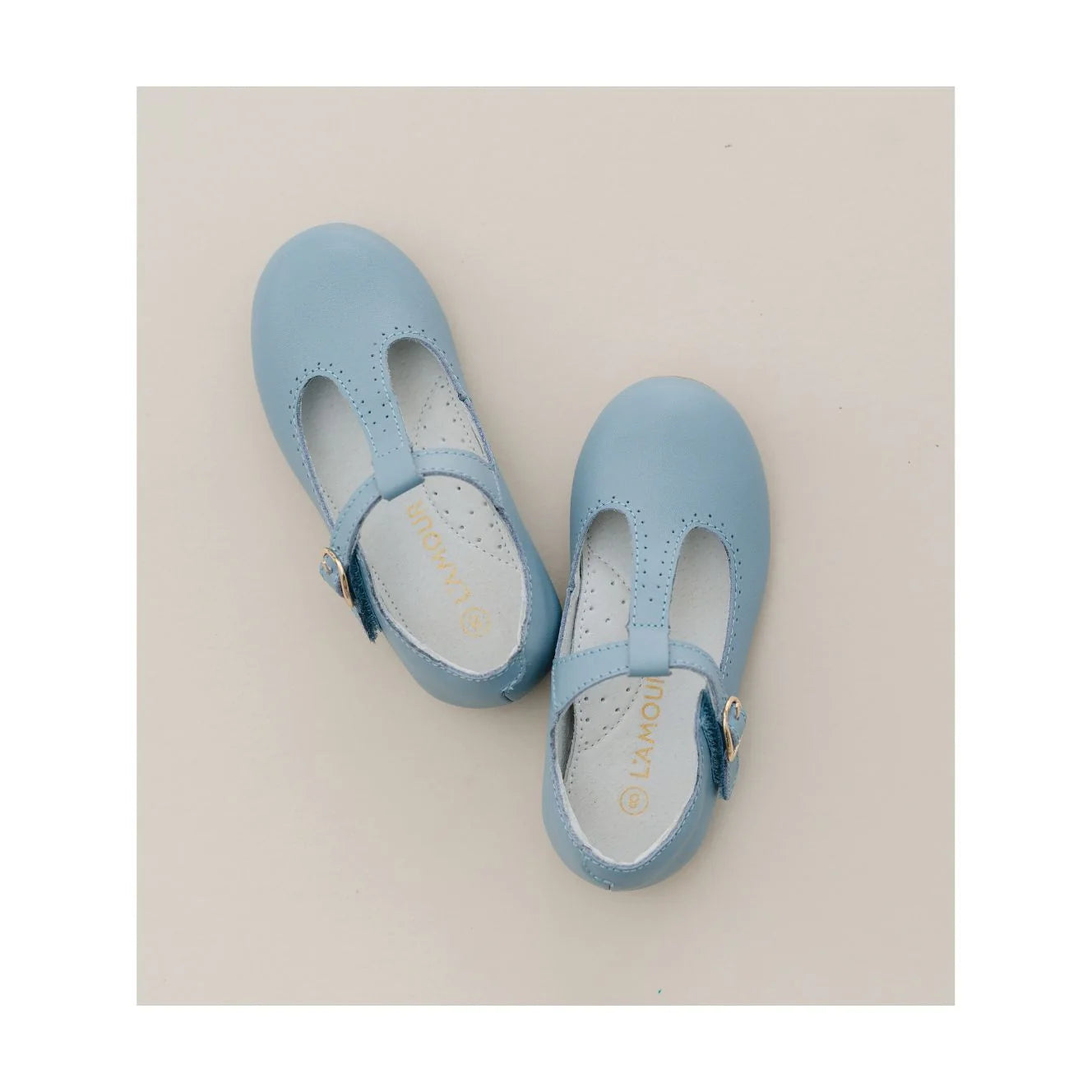 F-582 Dusty Blue