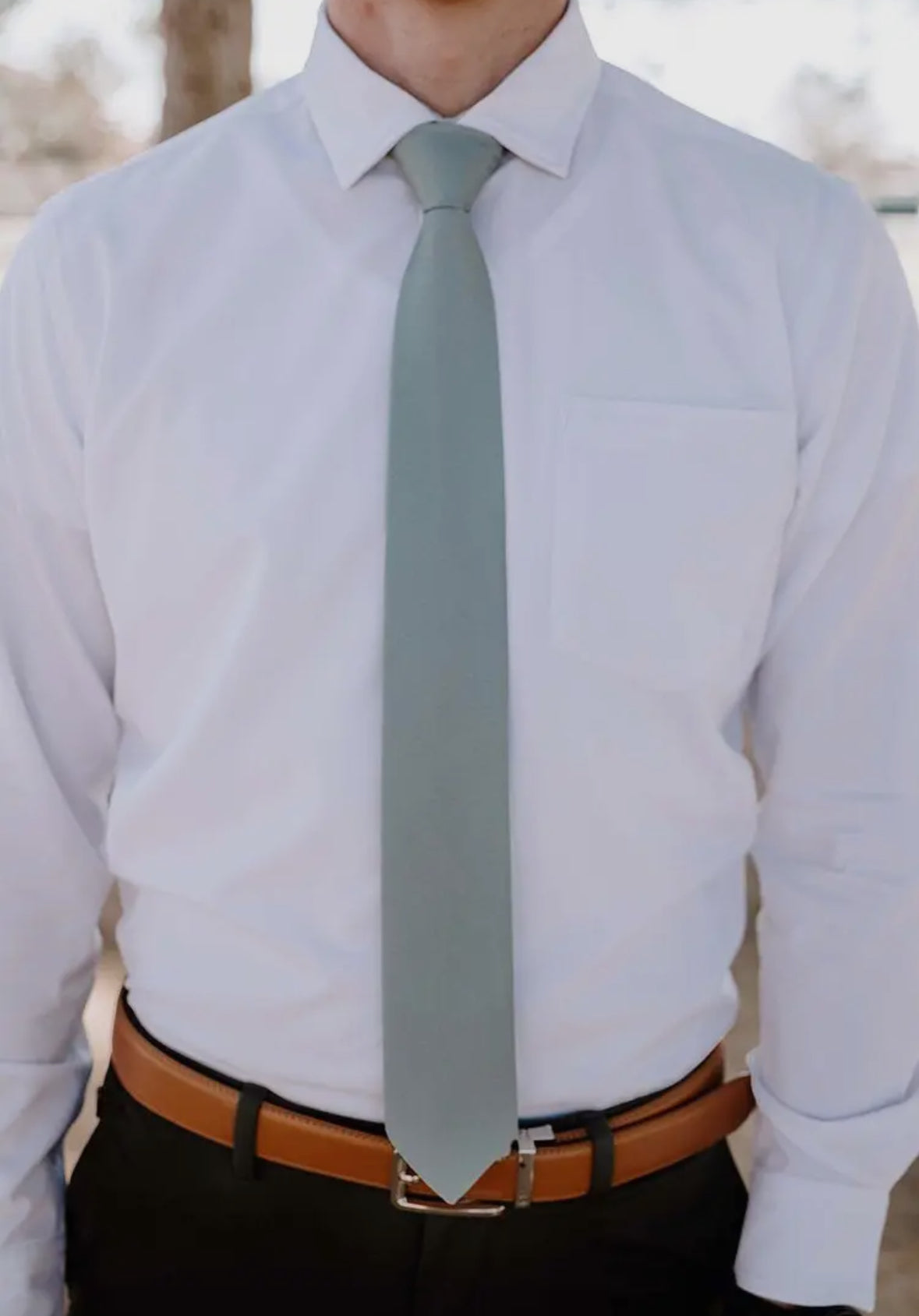 Evergreen Sage Tie