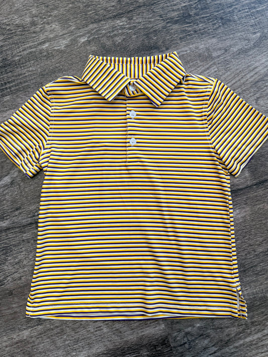 Purple & Gold Stripe Polo