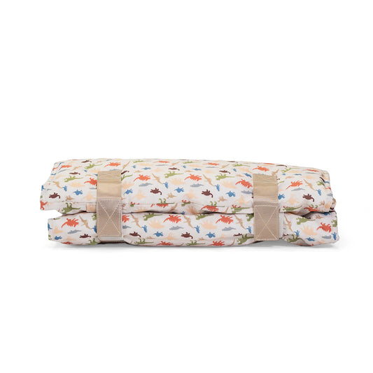 Dino Nap Mat