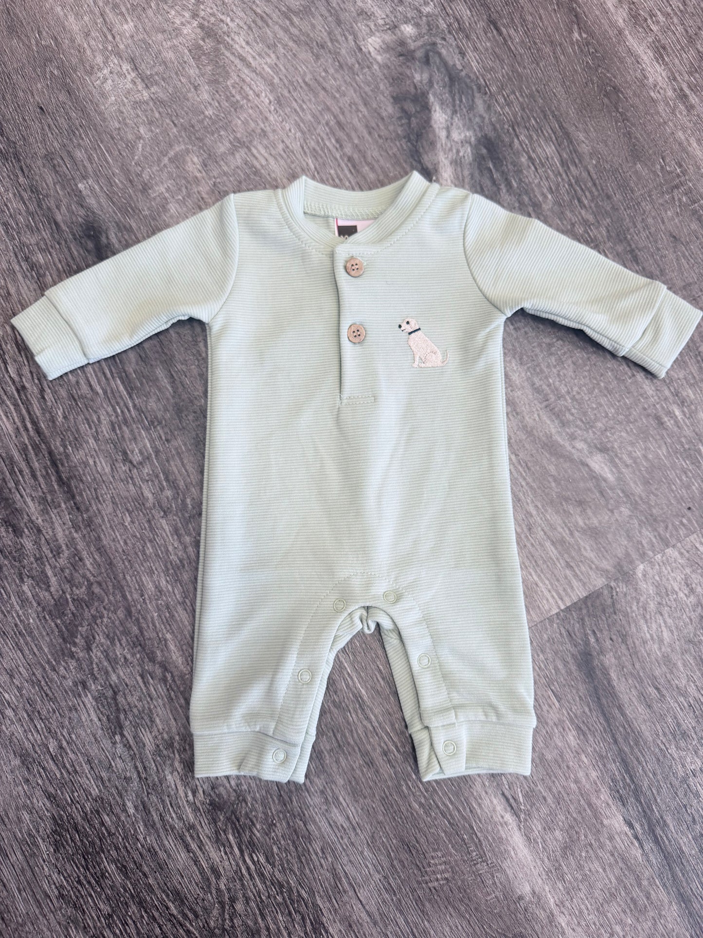 Puppy Boys Romper