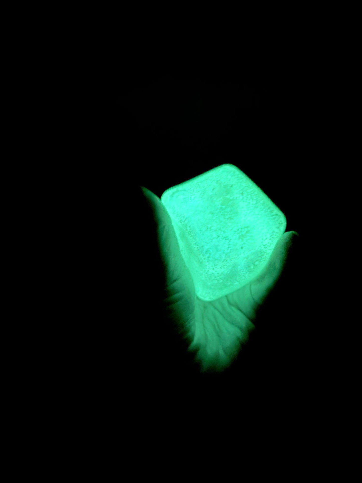 Glo in the Dark Nice Cube
