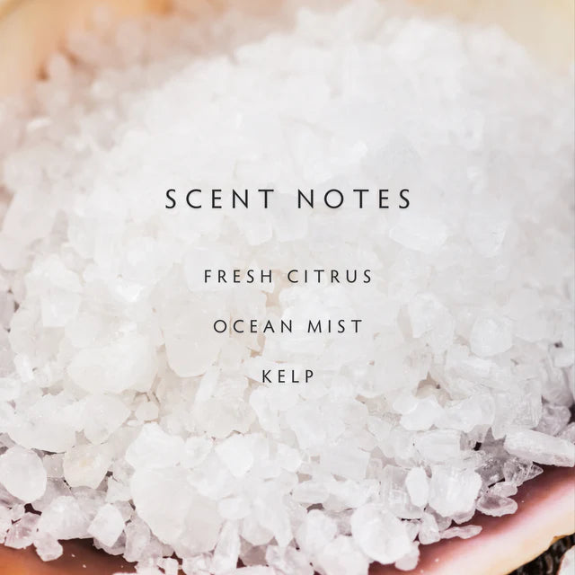 Linnea Petite Candle- Sea Salt